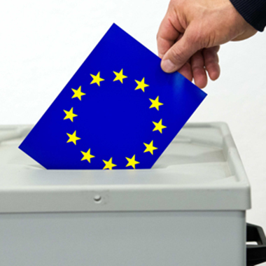Elezioni Europee 2024. Voto Assistito