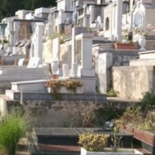 Cimiteri - Domani cimitero Sant'Orsola chiuso per disinfestazione