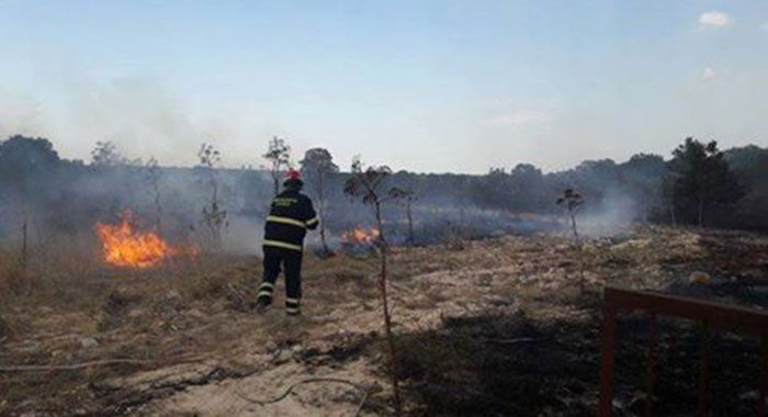 Ordinanza prevenzione incendi boschivi - interventi ripulitura terreni