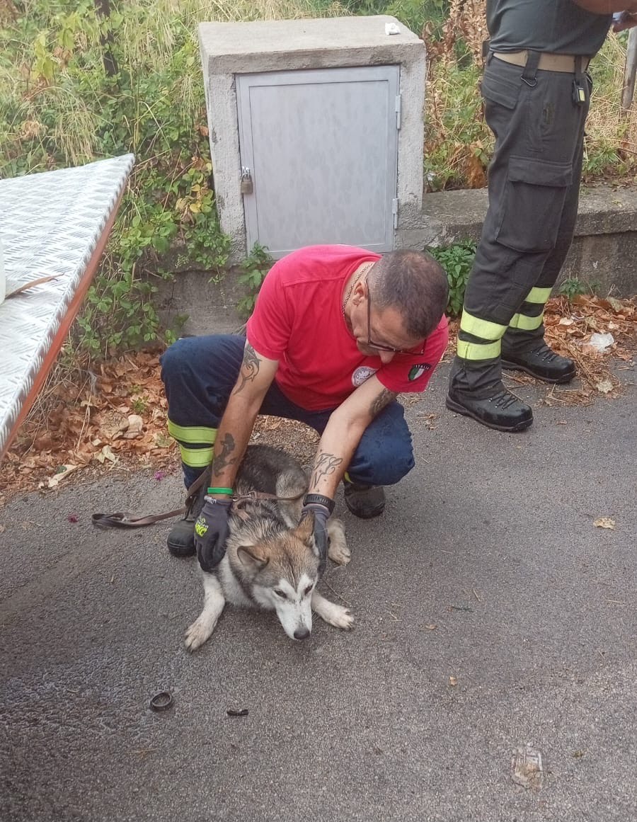 7cea80c1-c442-49a8-9fbb-45196c2cac0b