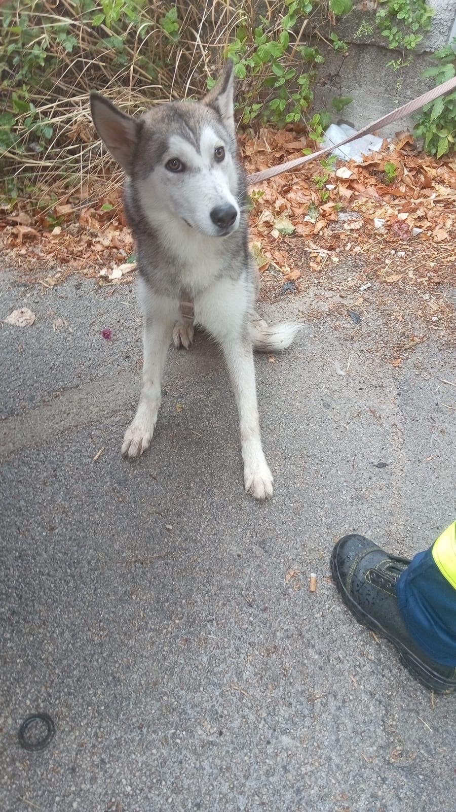 c8d4293d-0efd-4dd2-832f-0796e8d27076