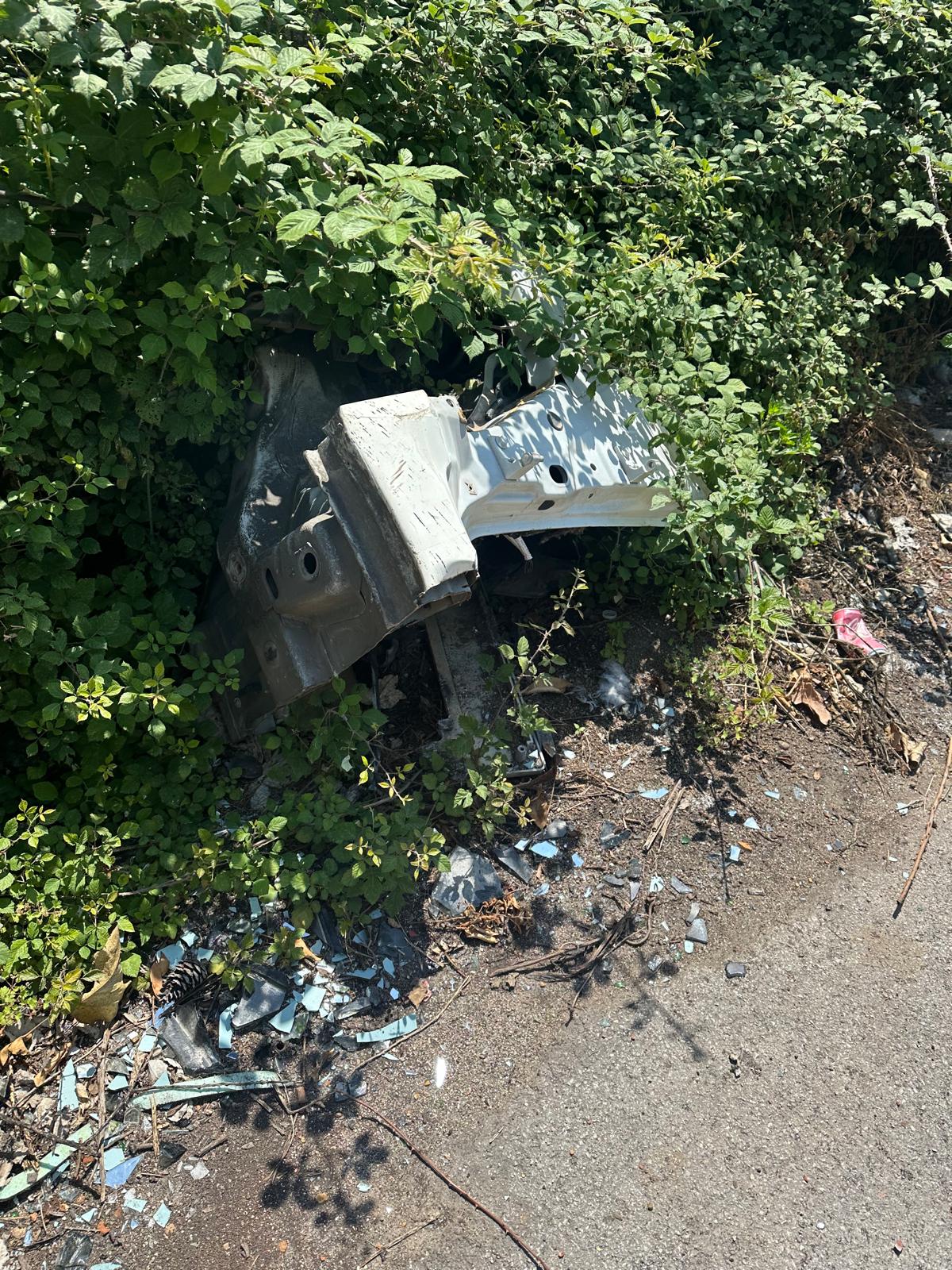 0c919003-d03d-4f5c-9a71-dff6a0c8c1ea