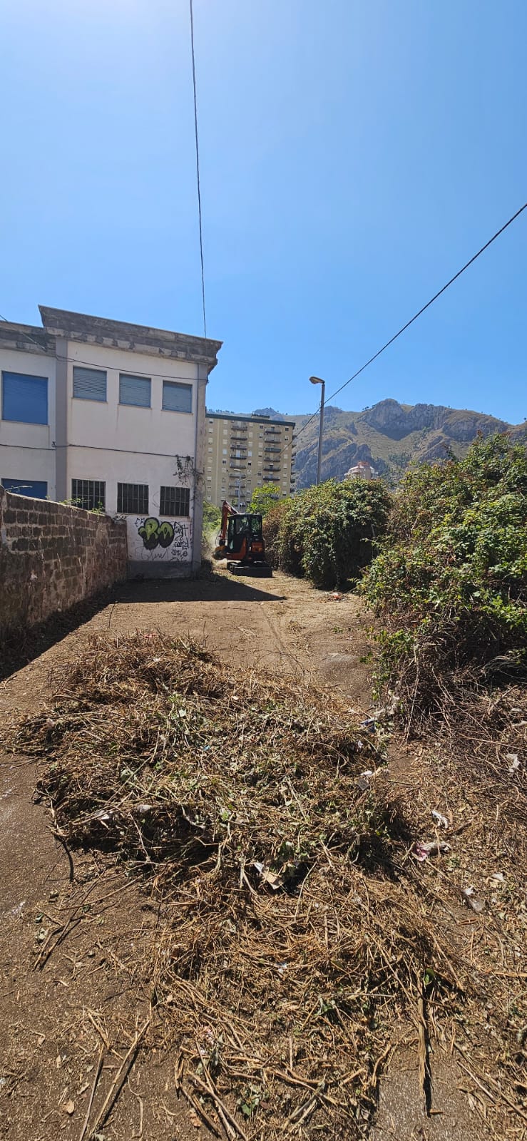 10ff932c-c24e-4a85-87c4-5681f3598b8a