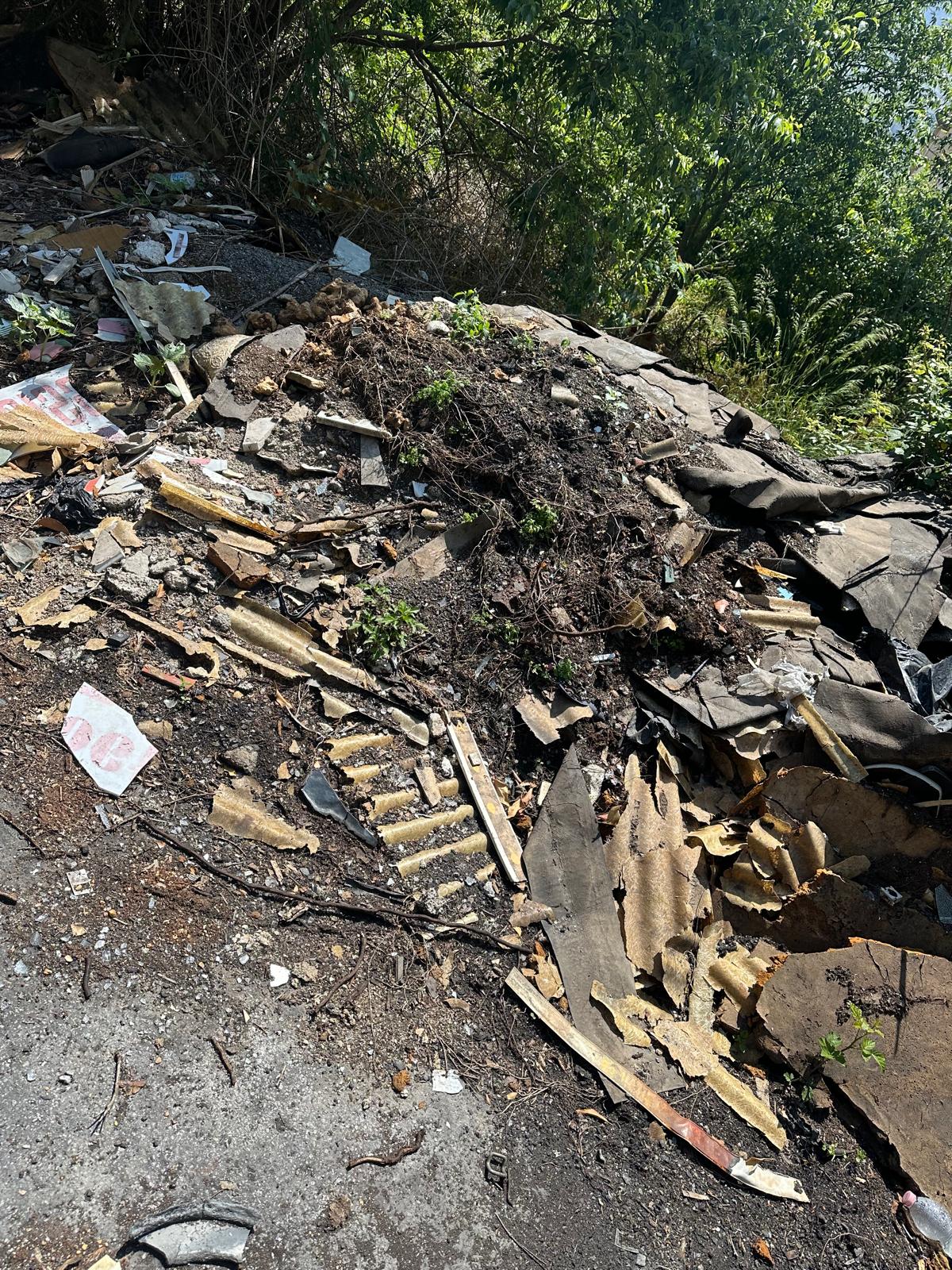 16832466-d36c-45a4-a14a-5e4db808e863