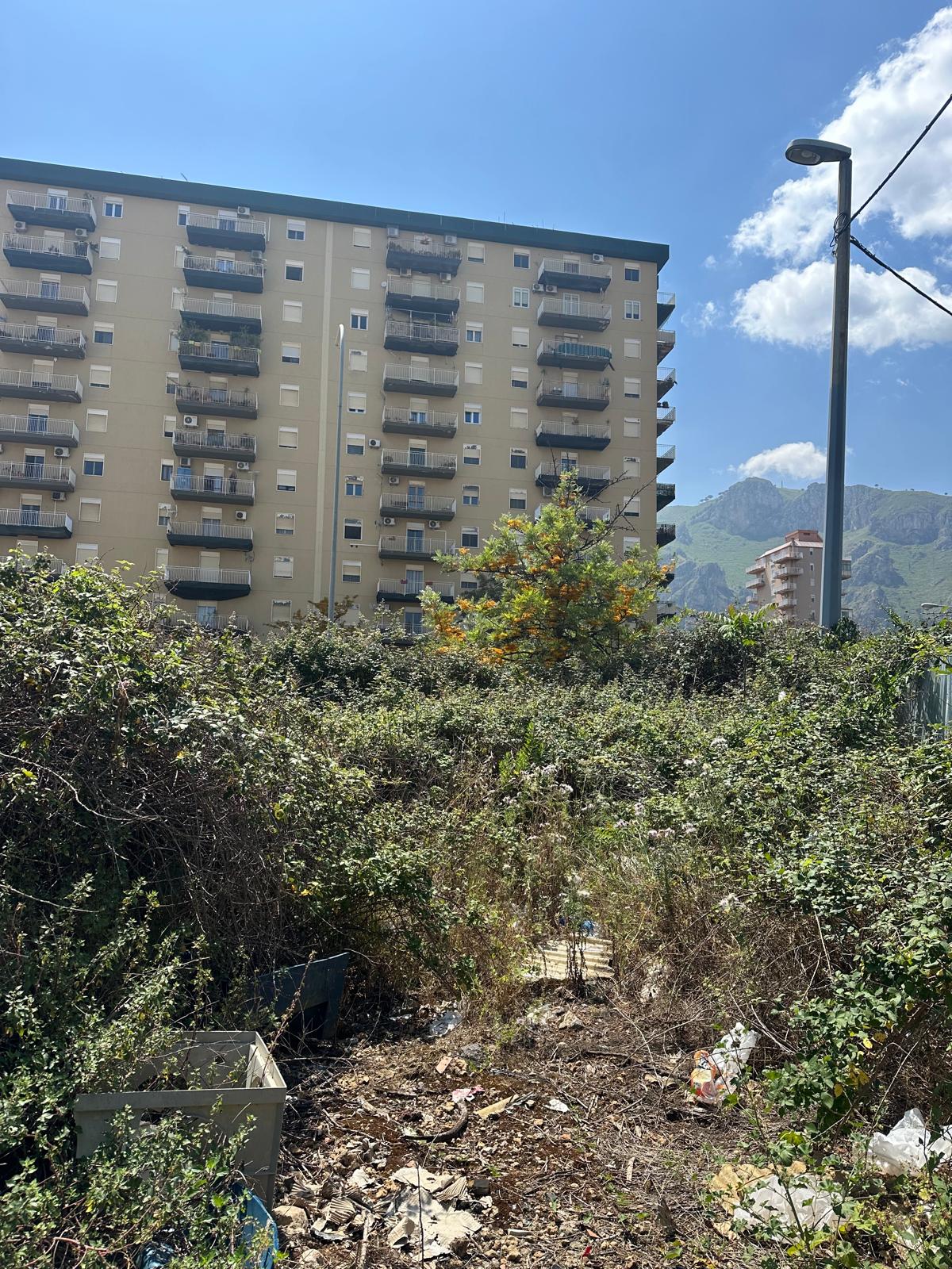 fcf68753-8d25-4f0e-9256-9b10f31e9a58