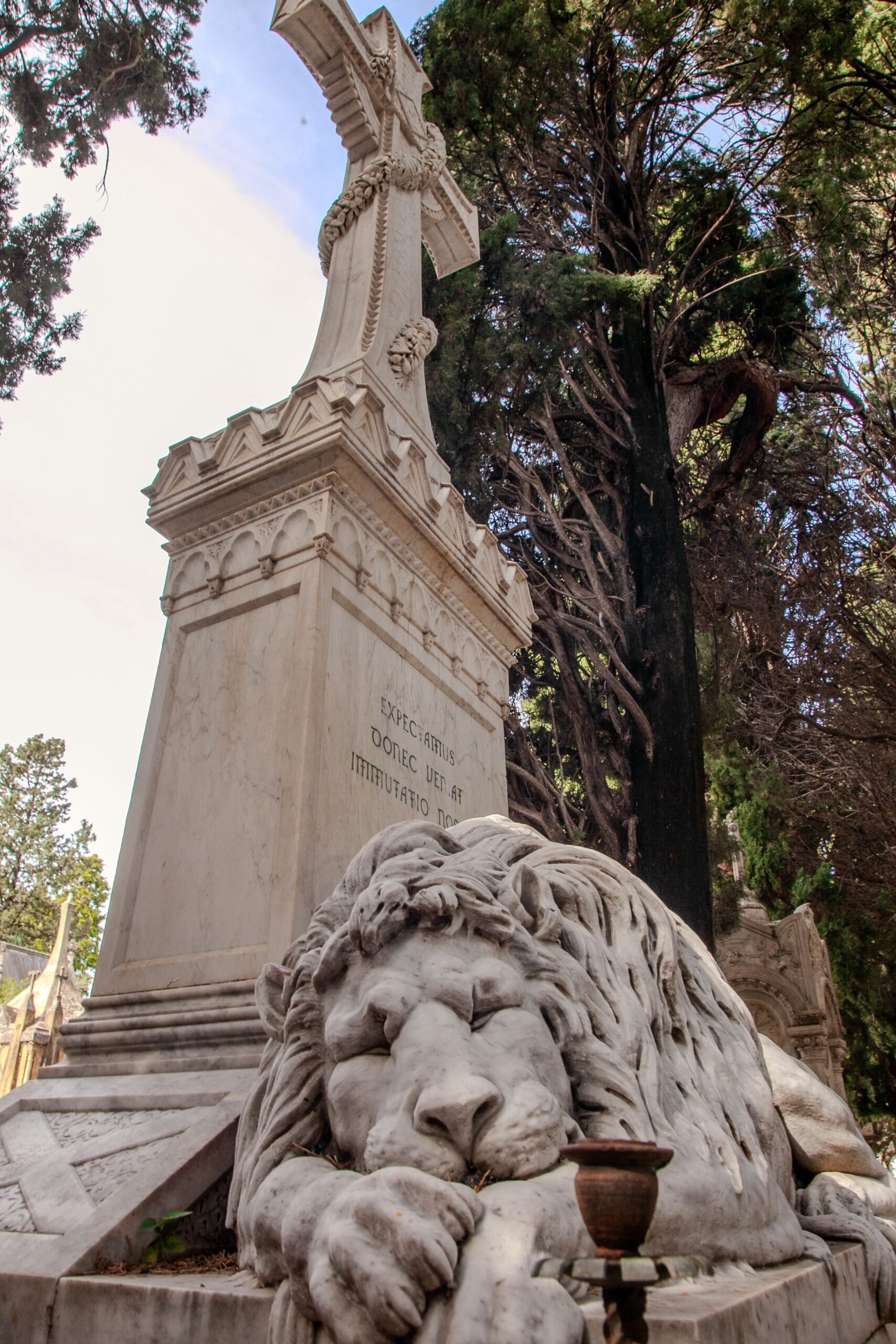 0f27c4d2-da8c-4a66-8536-060677d3a6fe