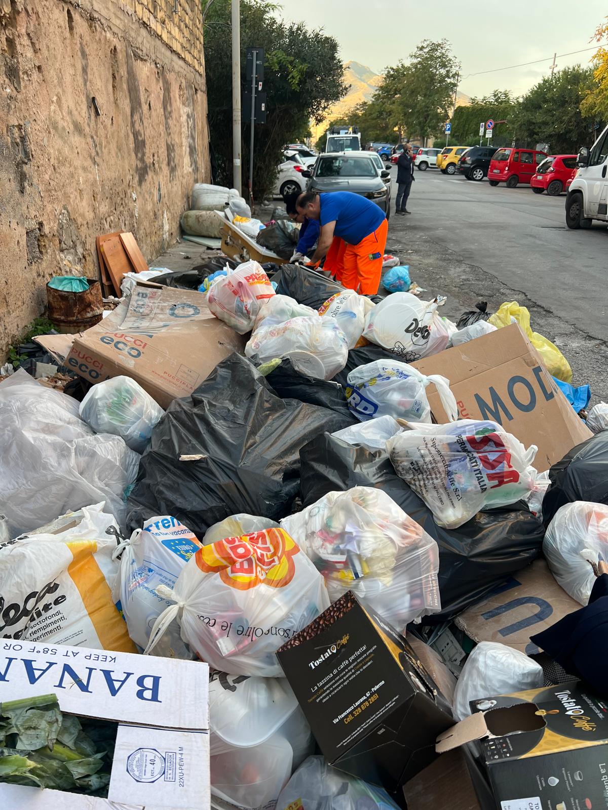 a3923ebb-449f-4c94-a24c-bd85f2a8572a