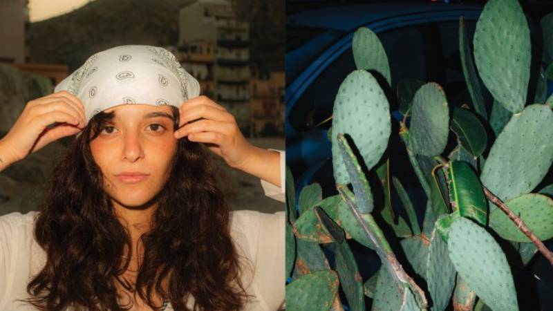 c77d262b-843a-44f1-a12e-413c6c293086