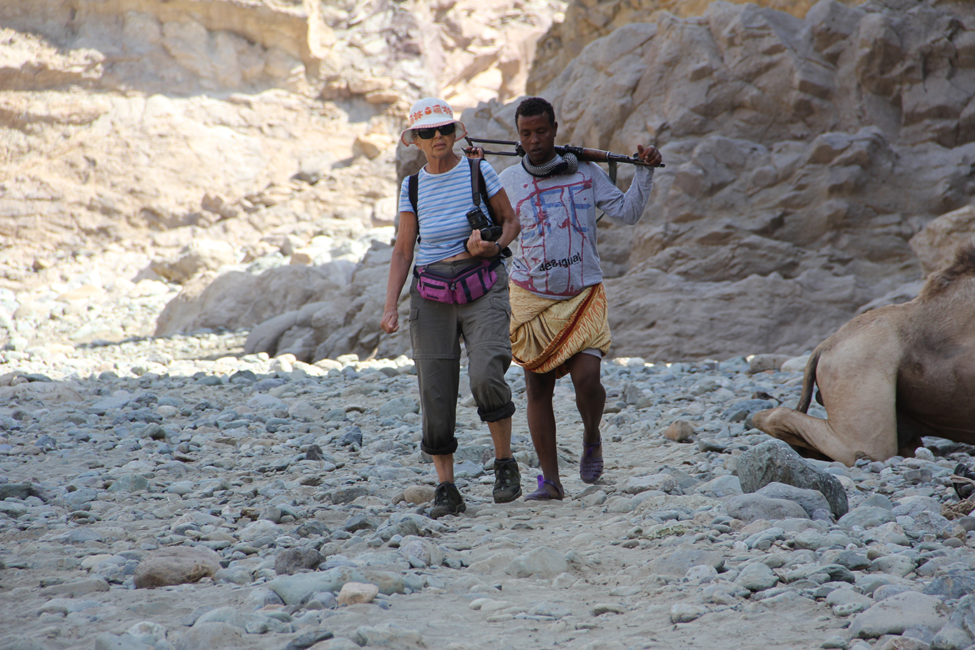 dd8d991d-a5ba-4e9a-a4c4-69c992de40ec