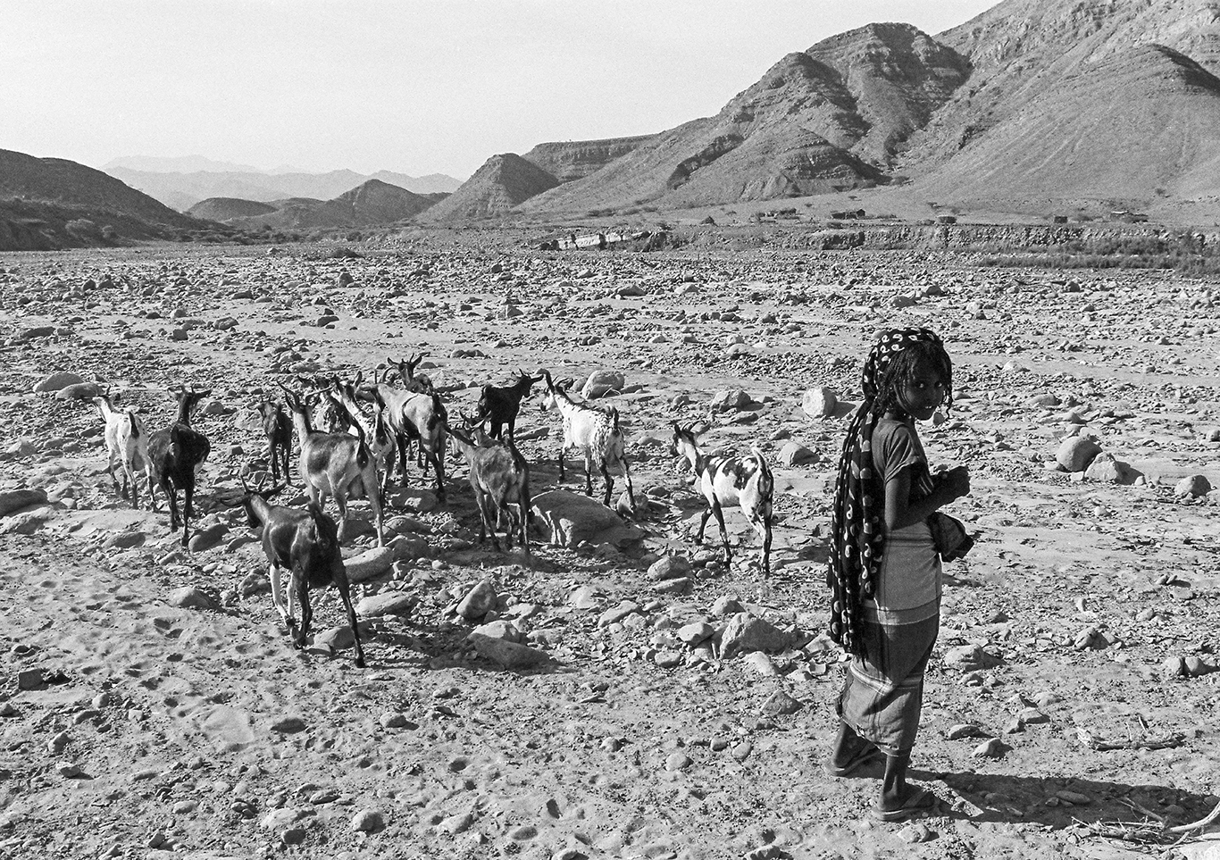 f8da0c17-122e-4189-9fc7-bc454ecff137